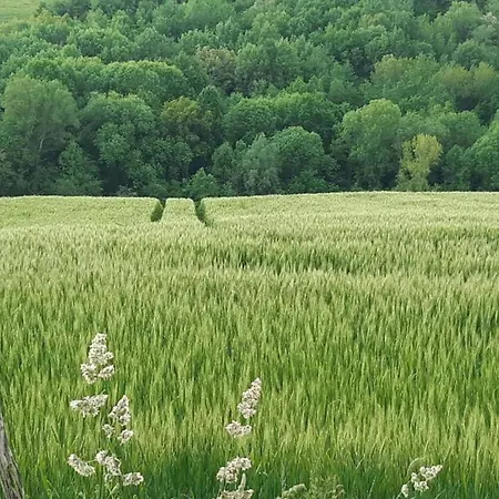 Elegant Escape In Σπίτι διακοπών